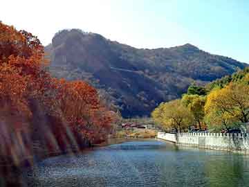 新澳天天开奖资料大全旅游团，十大灵异照片